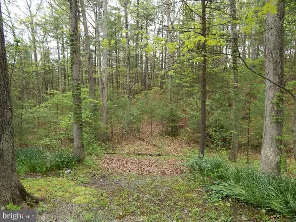 LOT 20 CHESTNUT OAK LANE, Hedgesville, WV 25427