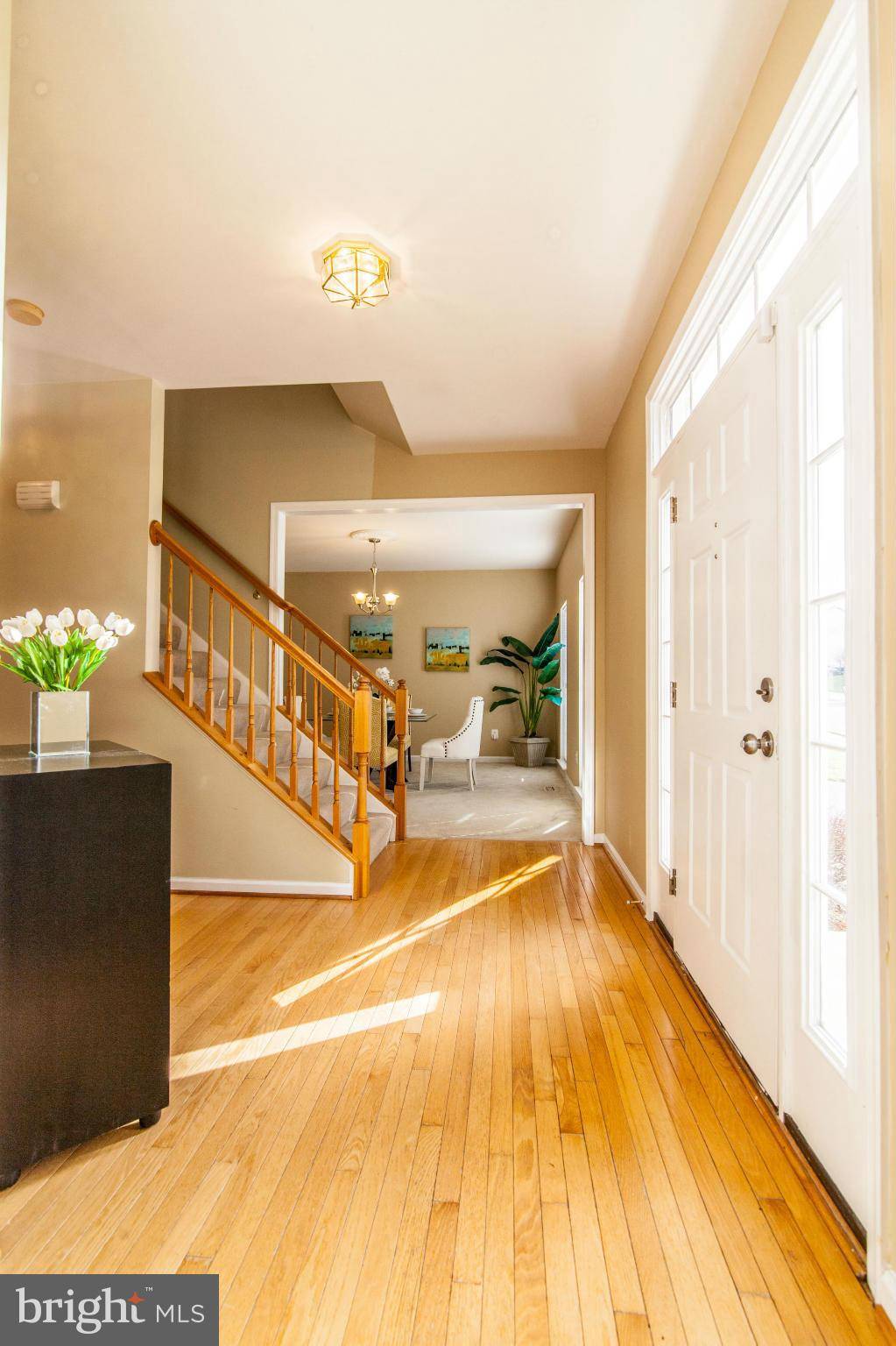 Middletown, MD 21769,119 IVY HILL DR
