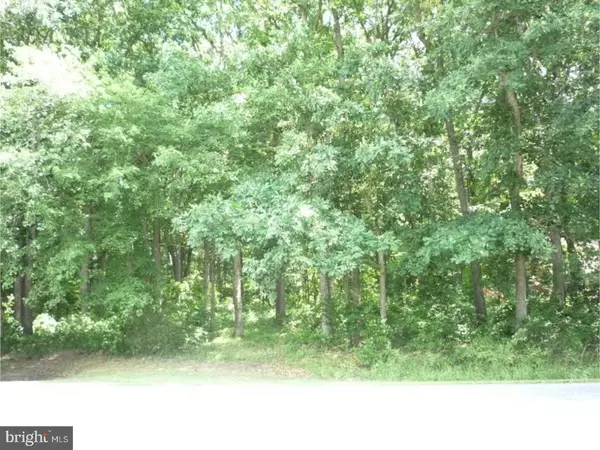 LOT 5 BIG DITCH RD, Wyoming, DE 19934