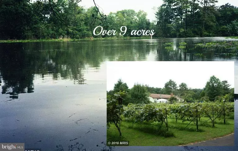 6912 EAST NEW MARKET-ELLWOO RD, Hurlock, MD 21643