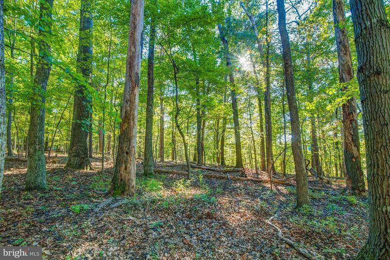Great Falls, VA 22066,1044 MANNING ST