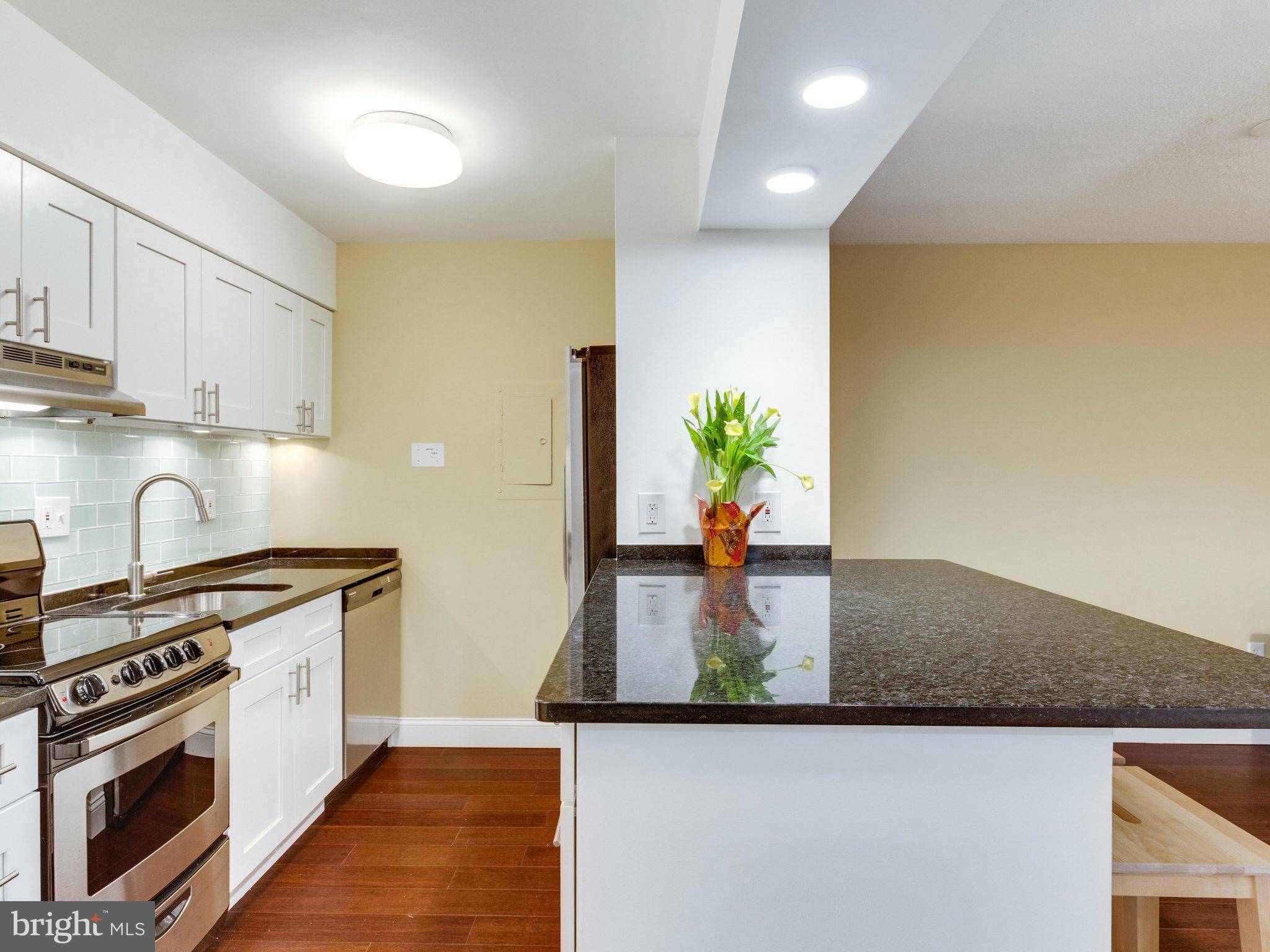 Mclean, VA 22102,1808 OLD MEADOW RD #316