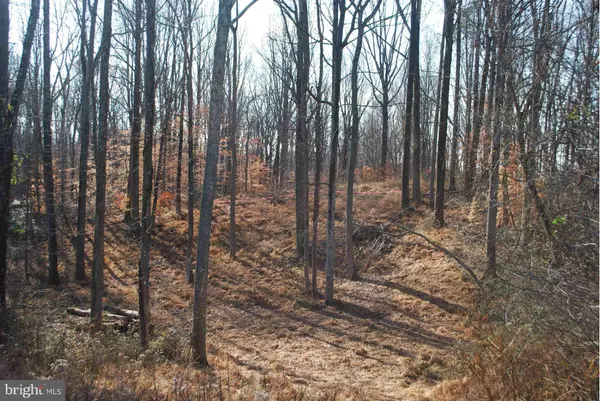 2520 CHAPMAN LN, Davidsonville, MD 21035