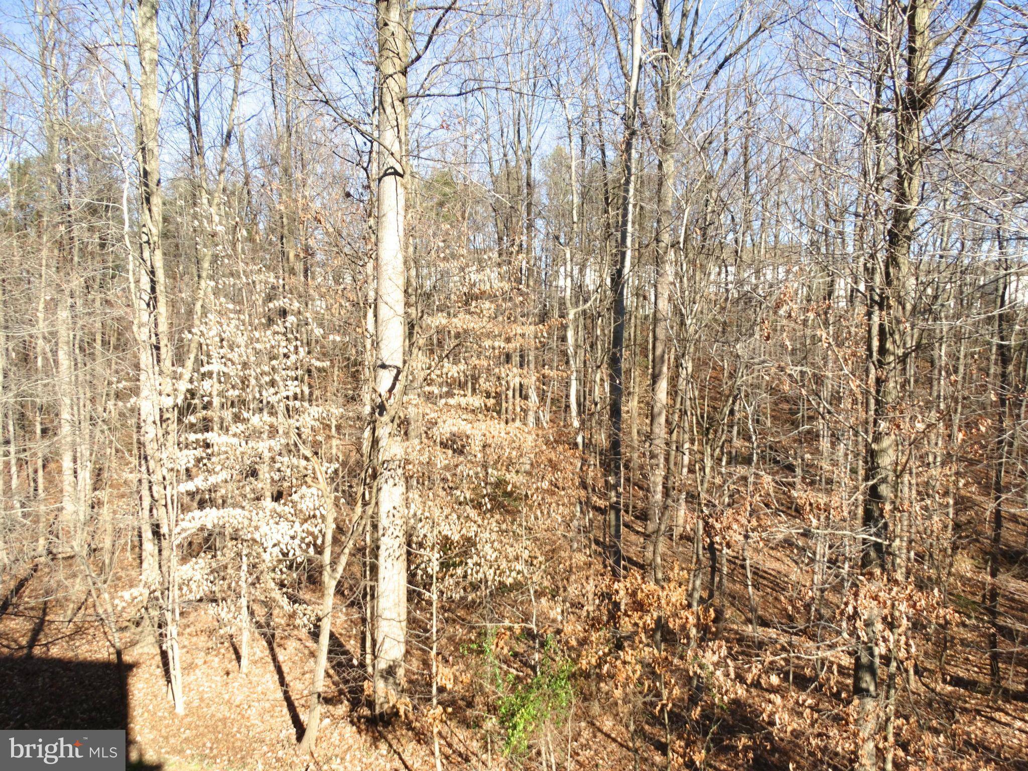 Odenton, MD 21113,2614 STREAMVIEW DR