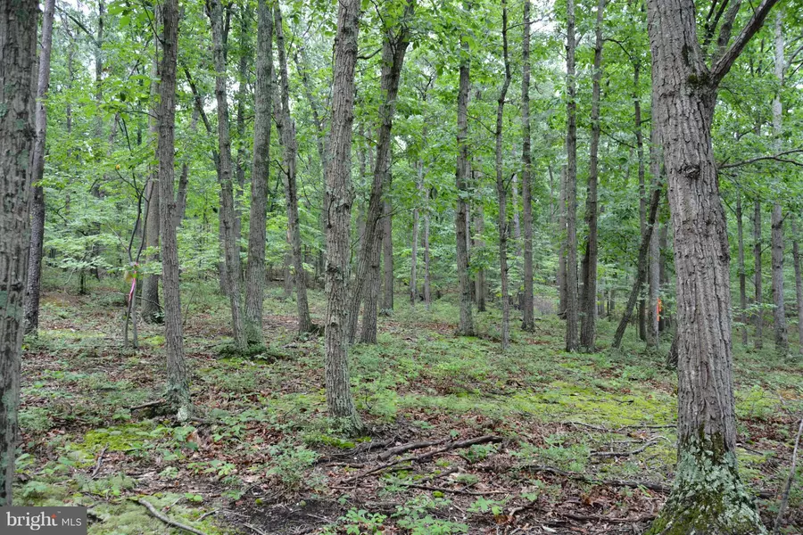 LOT 1 SILVERROD LN, Winchester, VA 22603