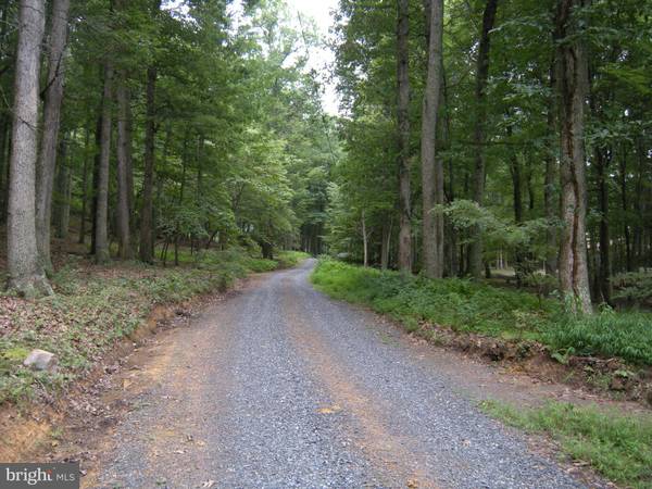 LOT #J3 MOOREHEAD RD, Gore, VA 22637