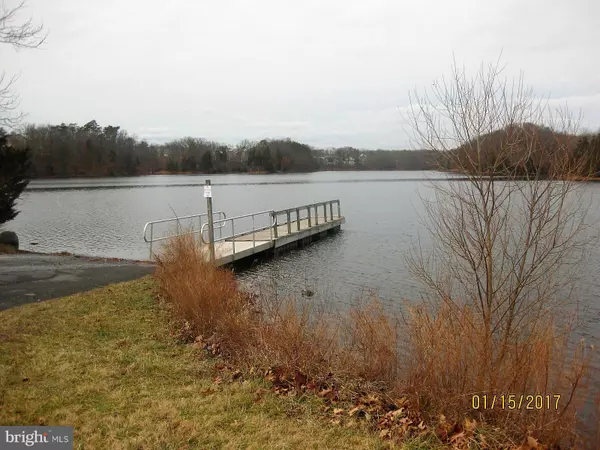 Lake Frederick, VA 22630,116 CHAMOMILE CT