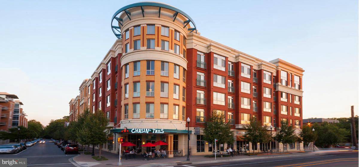 Arlington, VA 22213,2200 WESTMORELAND ST #307
