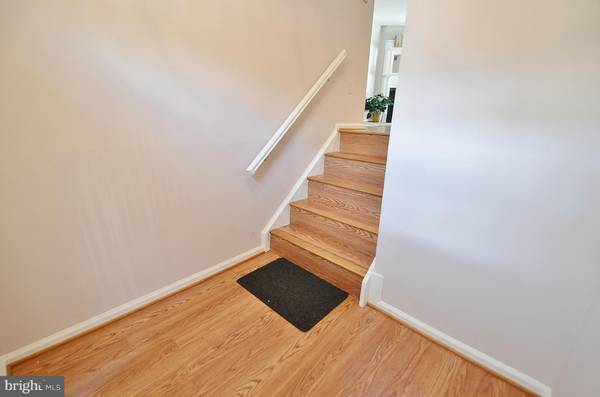 Arlington, VA 22206,2905-D WOODLEY ST S #4