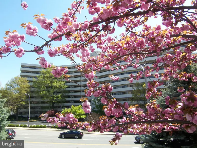 5300 COLUMBIA PIKE #103, Arlington, VA 22204