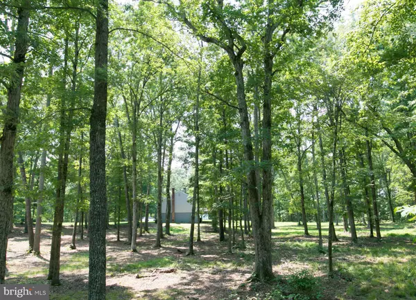 Goldvein, VA 22720,13436 OAKVIEW DR