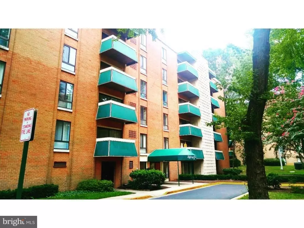 Falls Church, VA 22041,6141 LEESBURG PIKE #305