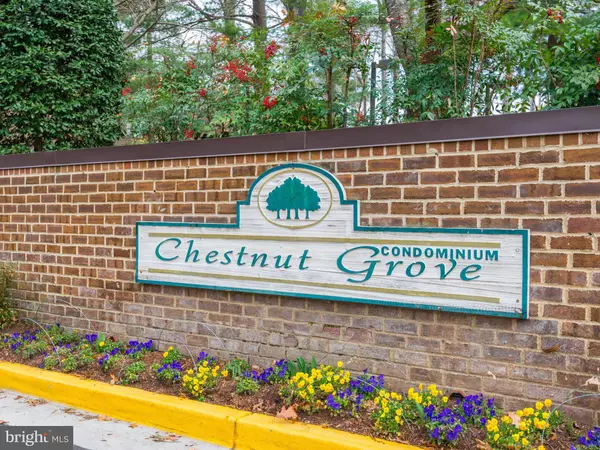 Reston, VA 20190,11204 CHESTNUT GROVE SQ #208