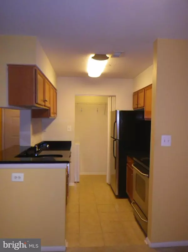 Reston, VA 20190,11653 GAS LIGHT CT #F