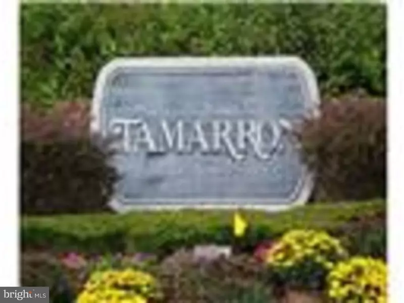 8502 TAMARRON DR, Plainsboro, NJ 08536