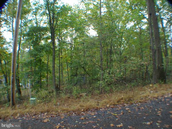 TECUMSEH TRAIL. LOT 21, Winchester, VA 22602