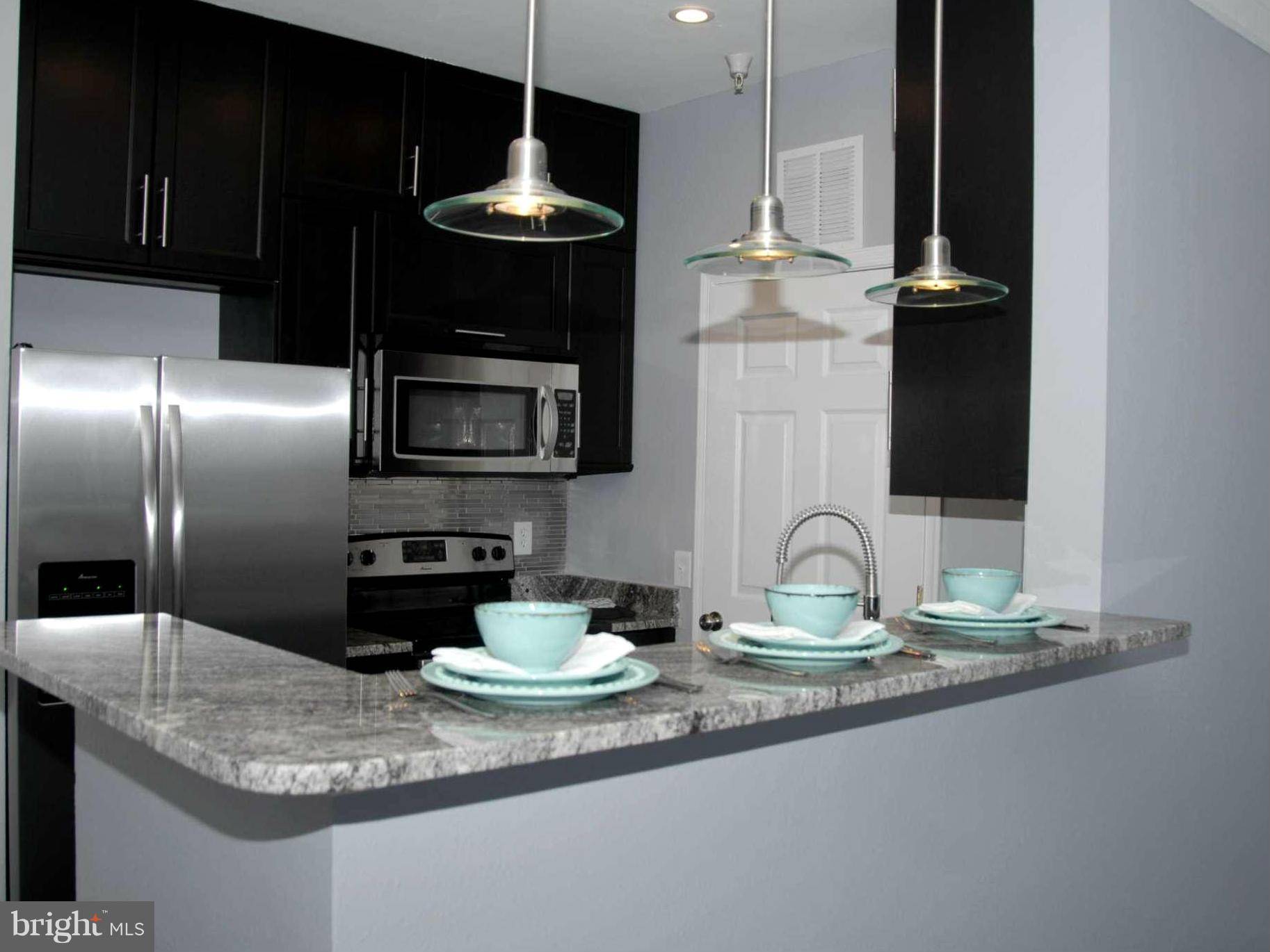 Mclean, VA 22102,1521 SPRING GATE DR #10213