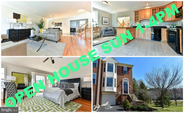 6217 LITTLETHORPE LN, Alexandria, VA 22315