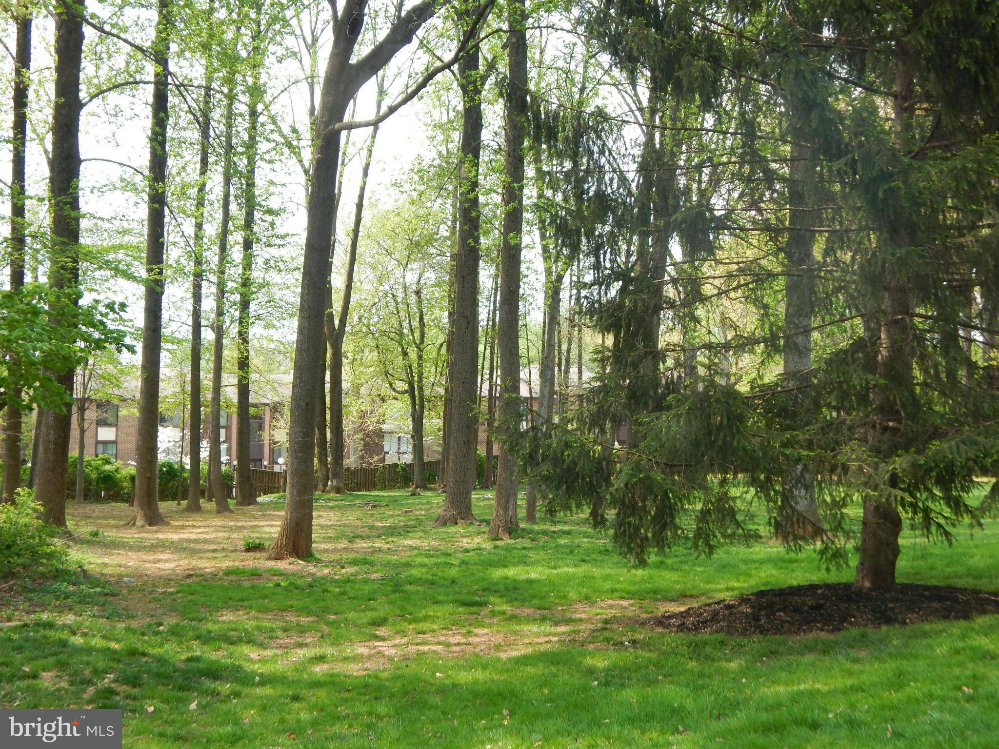 Fairfax, VA 22031,3148 CEDAR GROVE DR