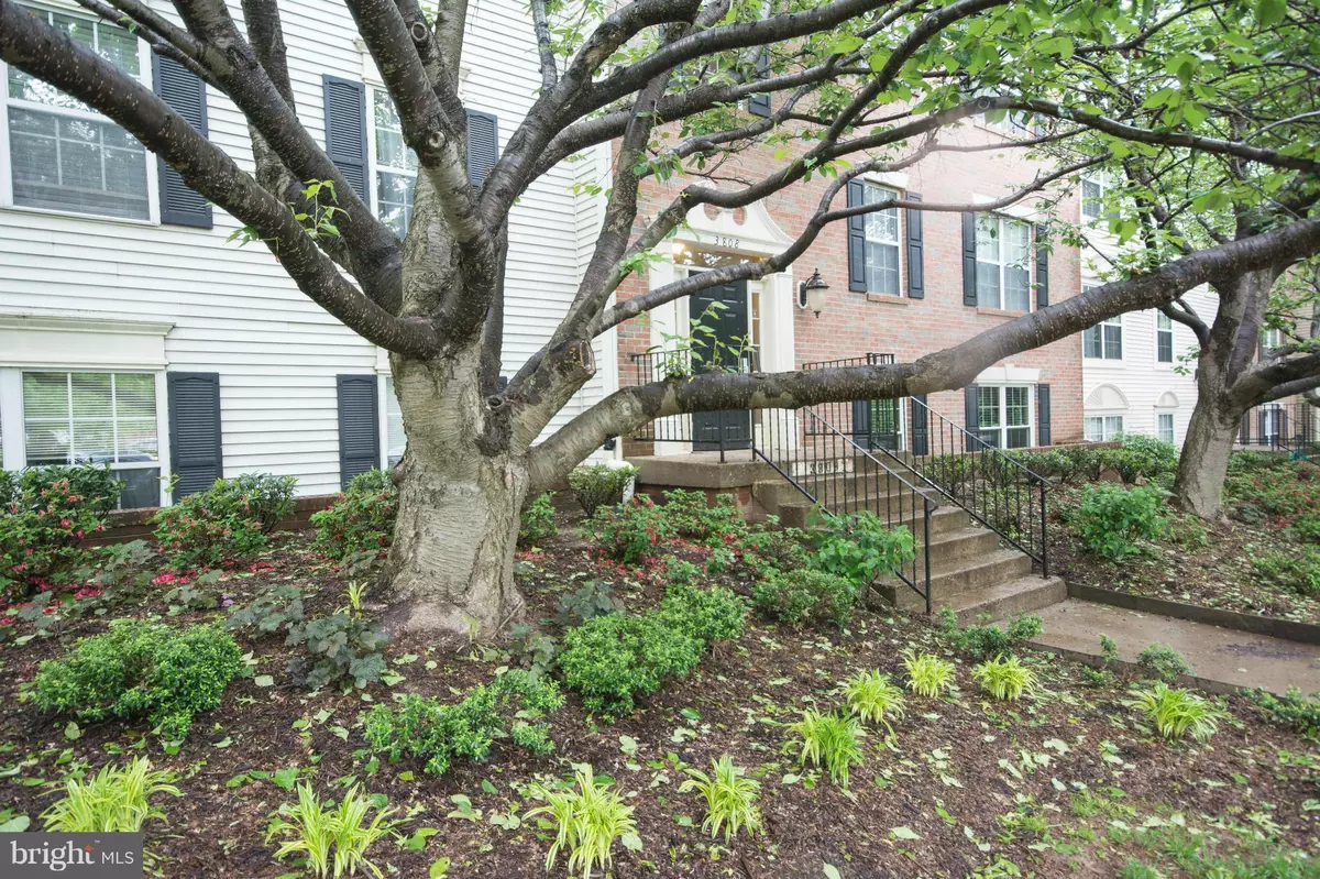 Fairfax, VA 22033,3808 GREEN RIDGE CT #302