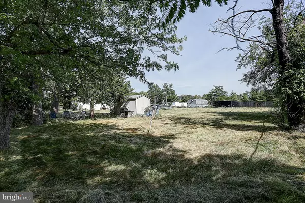 Falls Church, VA 22041,3518 WILLIAMS LN