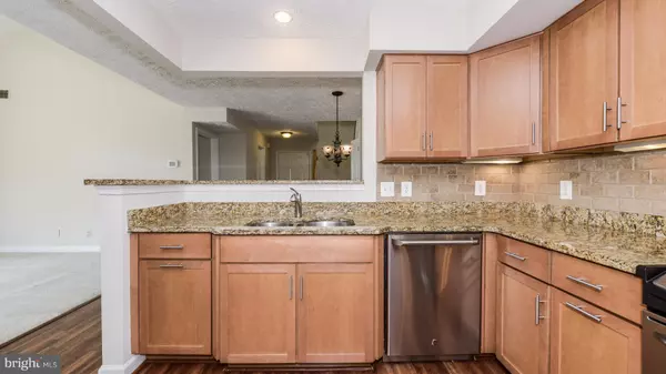 Fairfax, VA 22033,3800 RIDGE KNOLL CT #306B