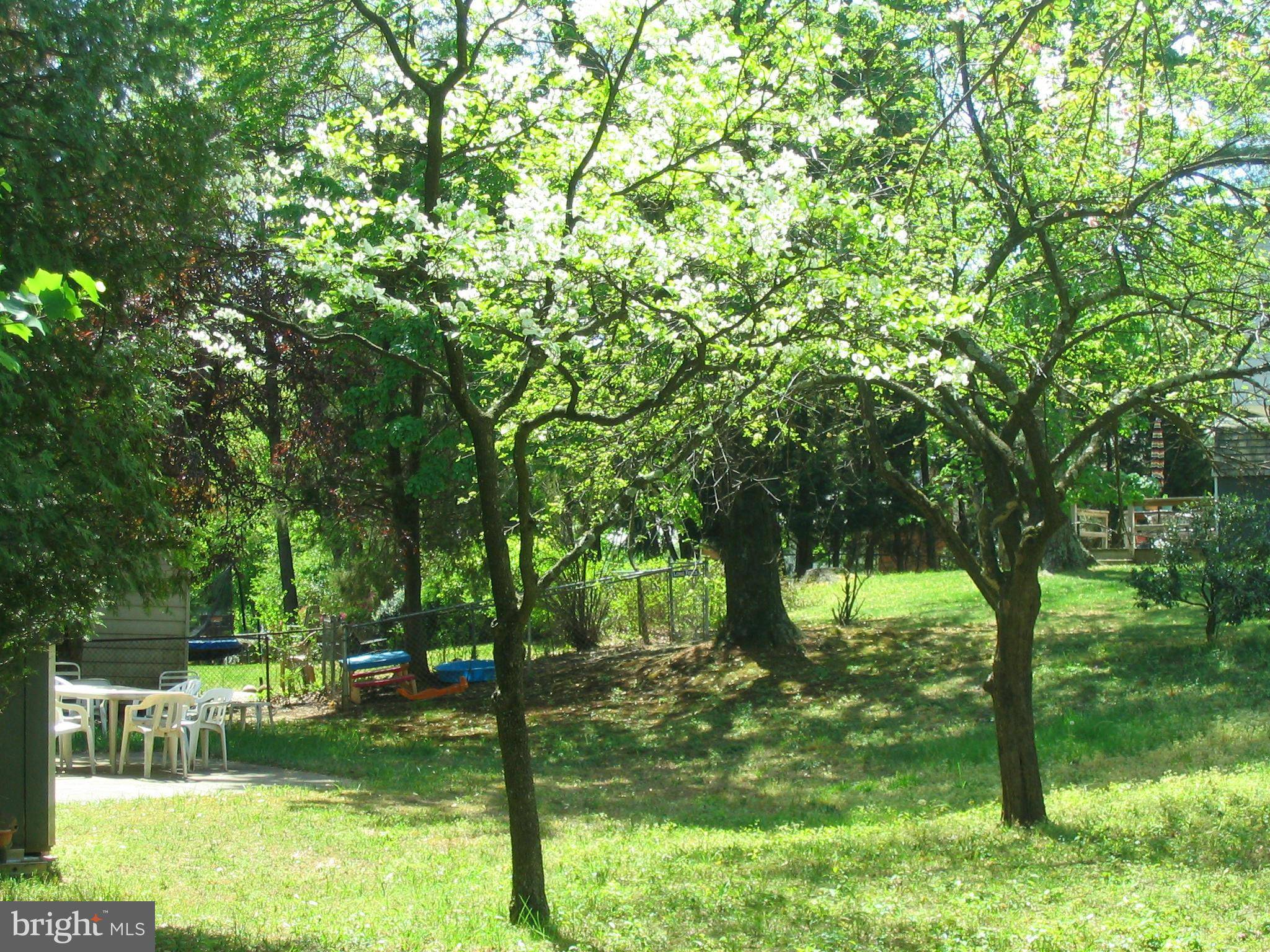 Silver Spring, MD 20902,1218-NORTH BELGRADE RD