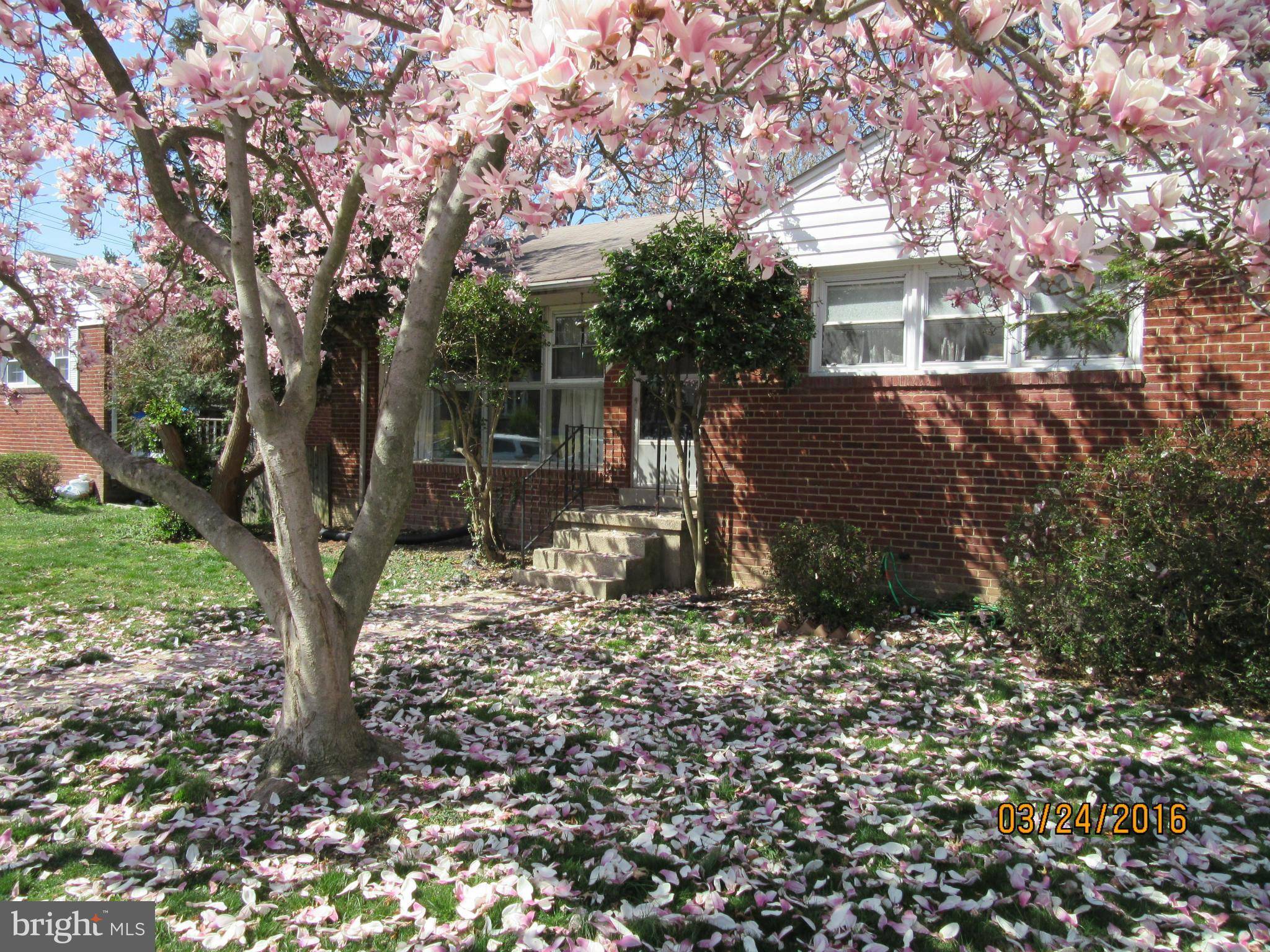 Silver Spring, MD 20902,10320 HAYWOOD DR