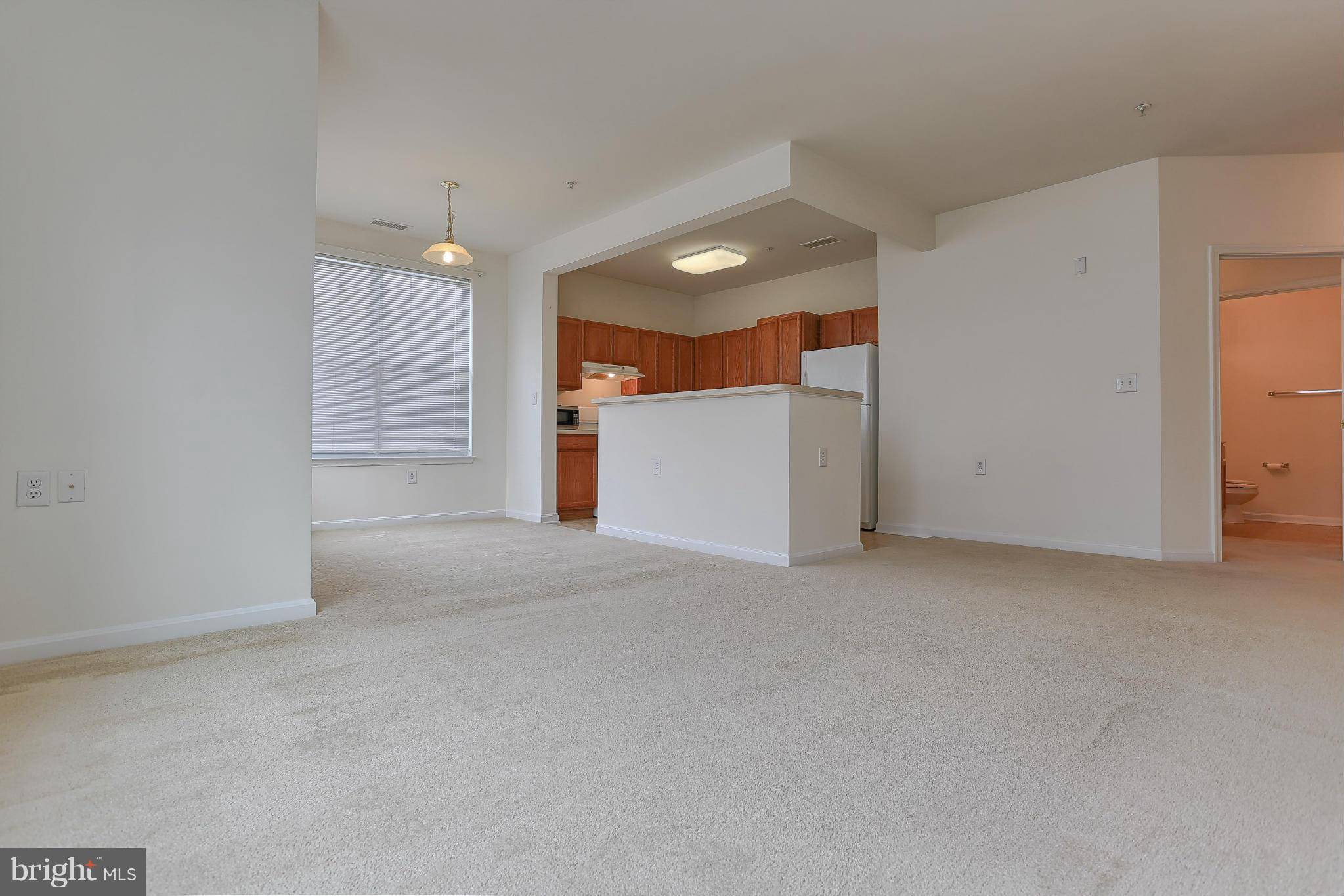 Boyds, MD 20841,14241 KINGS CROSSING BLVD #212
