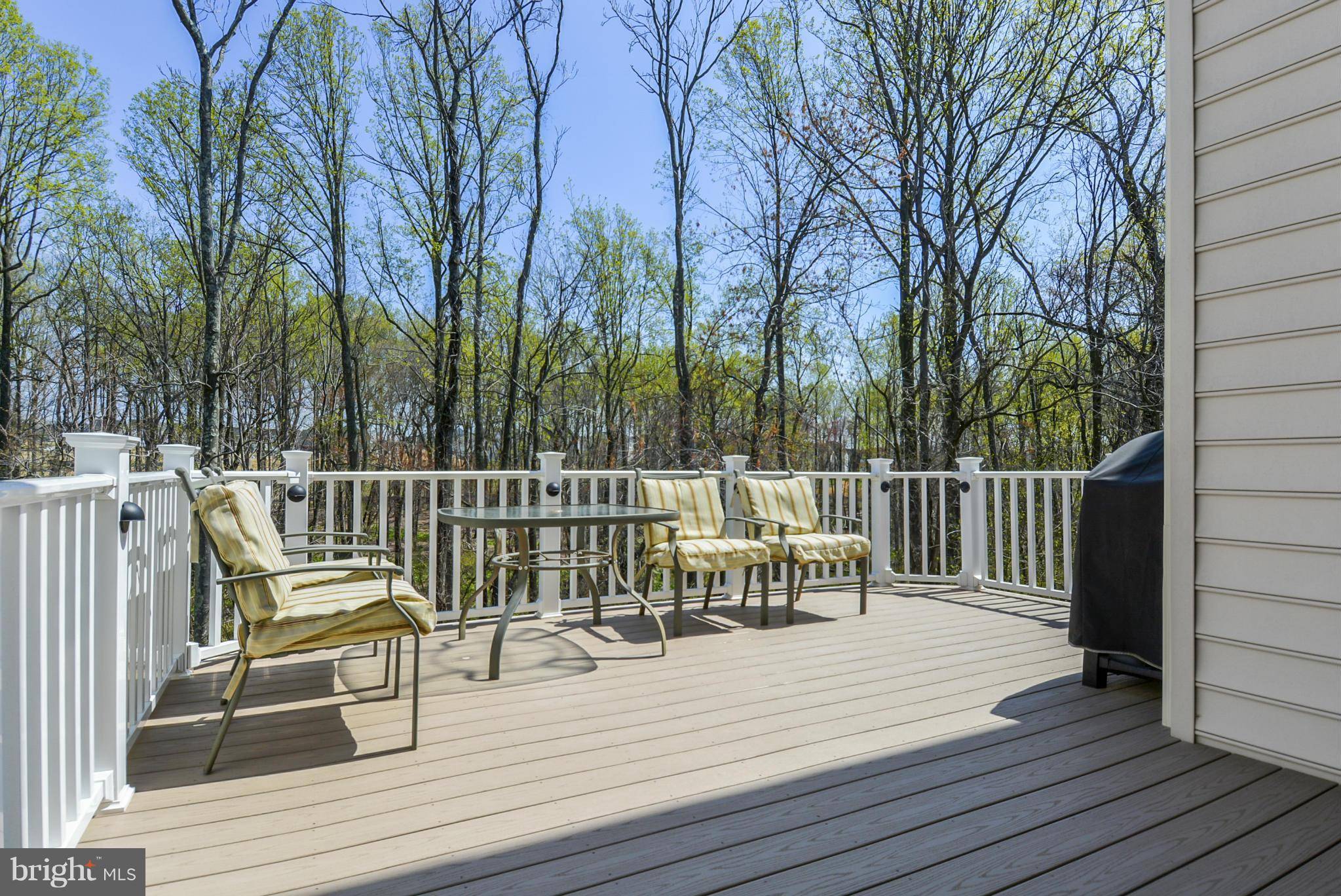 Clarksburg, MD 20871,22571 WINDING WOODS WAY