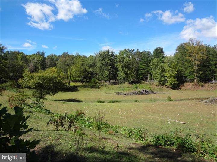 New Hope, PA 18938,1 OLD MILL LN
