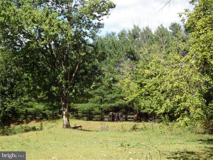 New Hope, PA 18938,1 OLD MILL LN