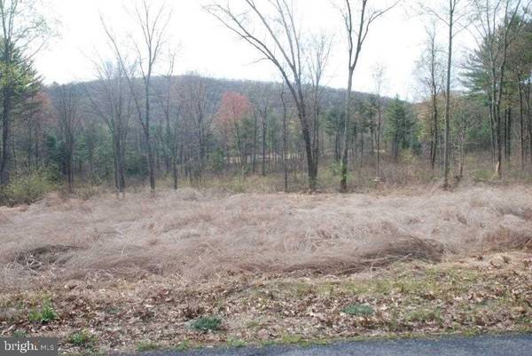 LOT 6B GREENBRIAR RD, New Bloomfield, PA 17068