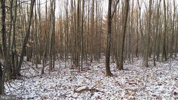 Port Royal, PA 17082,Lot 2 BURD HOLLOW RD