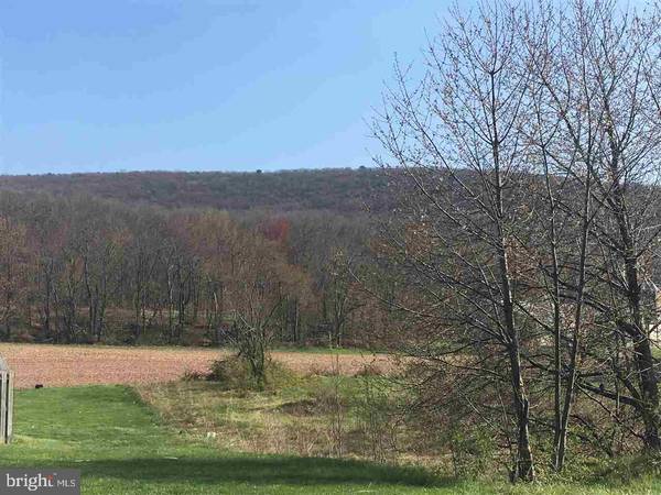 Elizabethville, PA 17023,LOT 25 LONGABACH BLVD