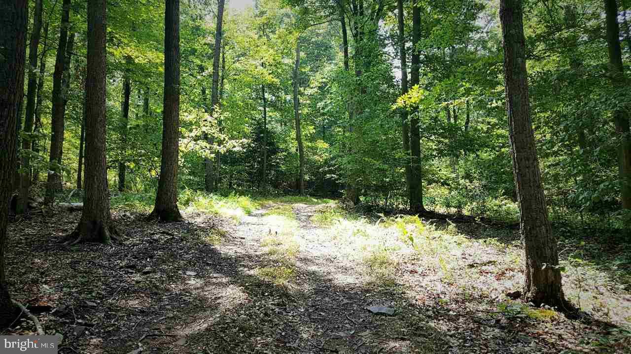 LOT 1 DANDY LN, Landisburg, PA 17040