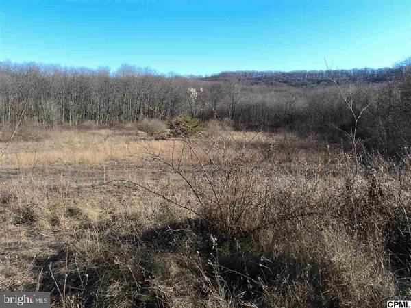 LOT S 3RD ST #OLD LIMEKILN LN, Newport, PA 17074