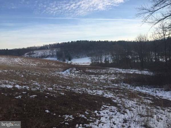 Richfield, PA 17086,Lot 1 BEAR RD