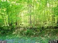 Lot 2 LIGHTNING TRL, Fairfield, PA 17320