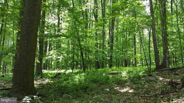 LOT #303 ASH LN, Lebanon, PA 17042