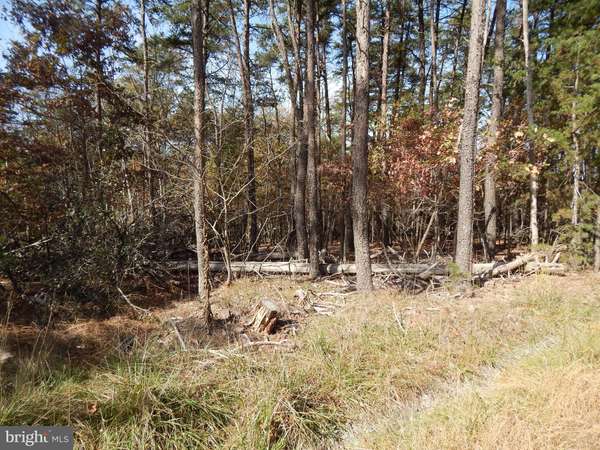 LOT 27 PLUM TREE LANE, Berkeley Springs, WV 25411