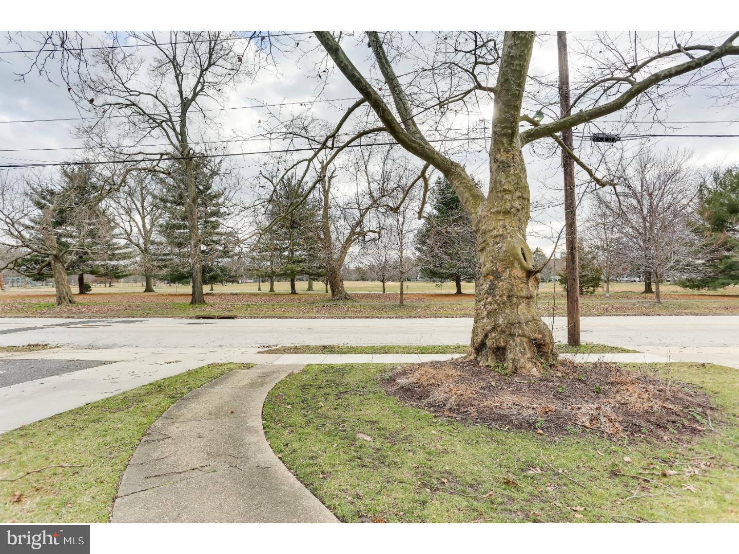 Collingswood, NJ 08108,349 PARK AVE