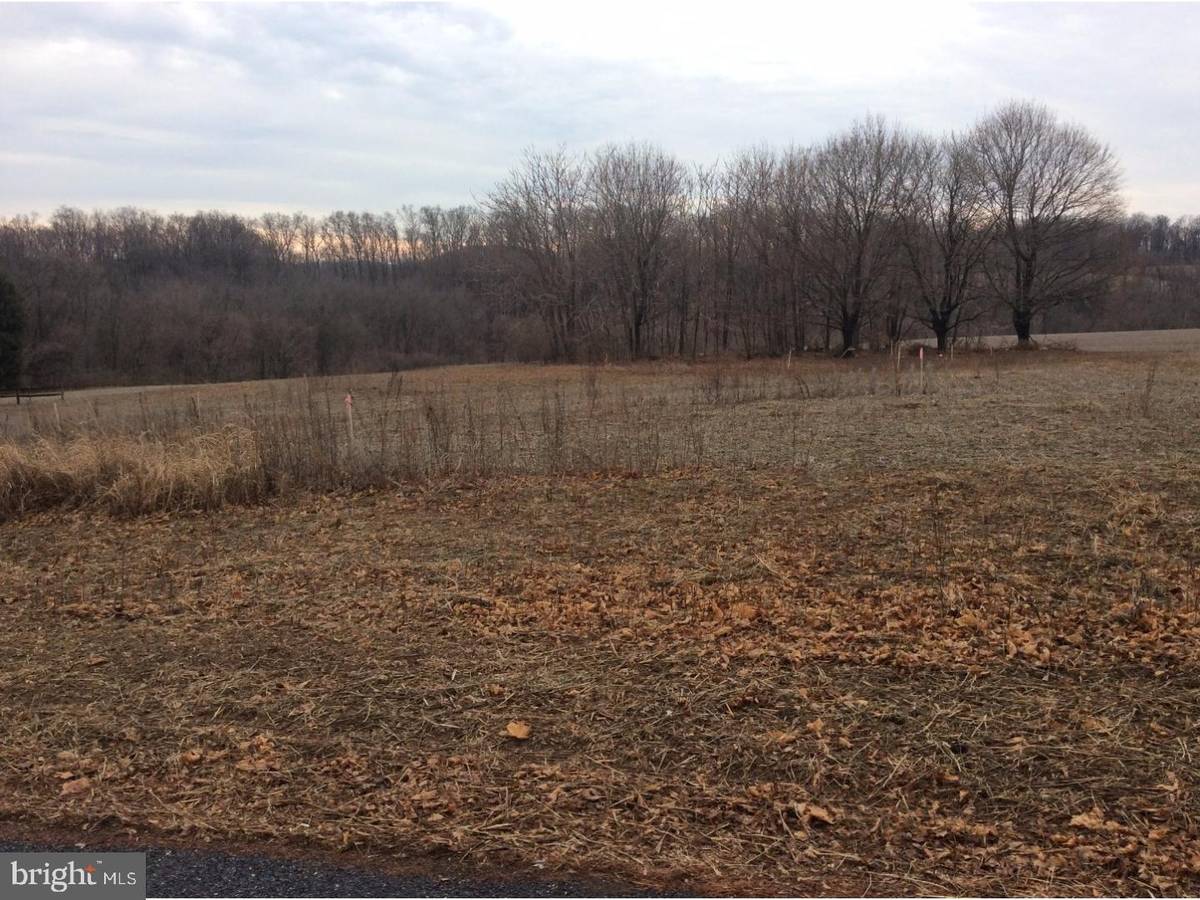 Leesport, PA 19533,9709 CHESTNUT ST #LOT 1