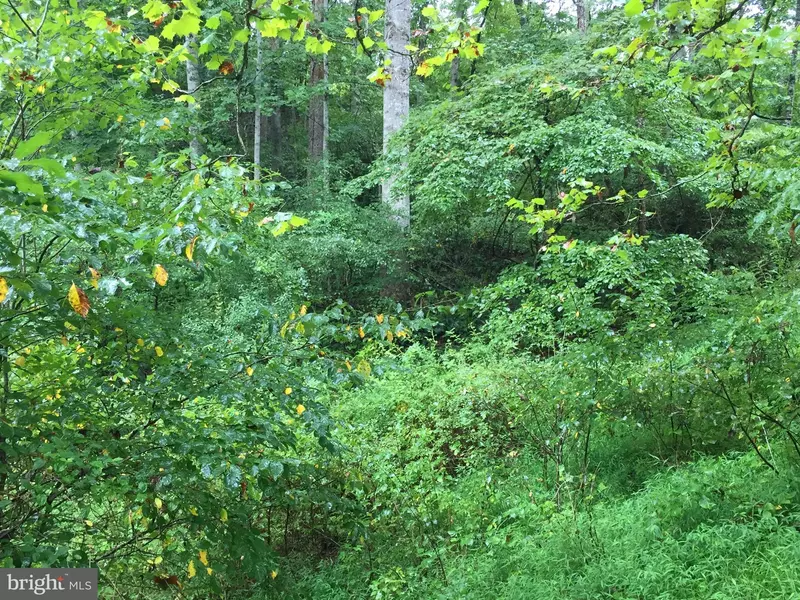 BLUEGRASS LN, Woodville, VA 22749