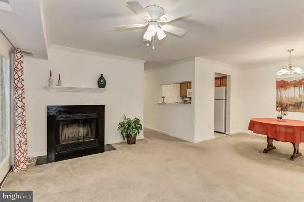 Alexandria, VA 22309,5700 SHADWELL CT #75