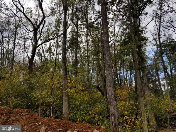 Winchester, VA 22602,LOT 2, LANGHORNE DR