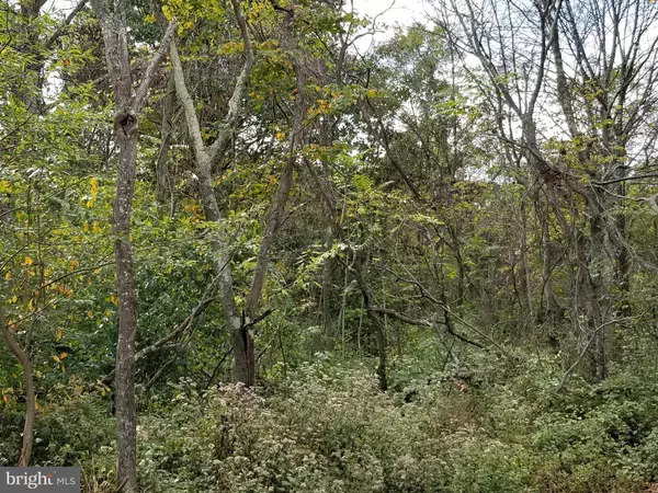 Winchester, VA 22602,LOT 3, GARNETT CT