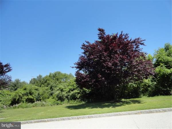 LOT 19 DORCHESTER WAY, Phoenixville, PA 19460