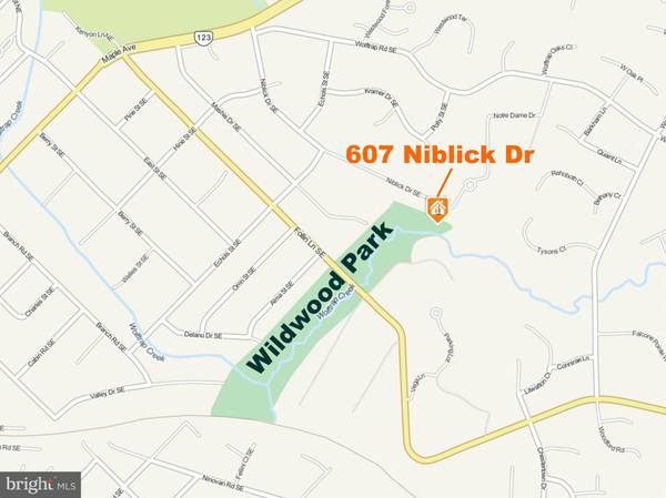 Vienna, VA 22180,607 NIBLICK DR SE