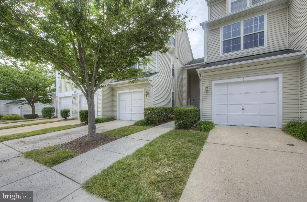 Alexandria, VA 22315,6609 NETTIES LN #1507